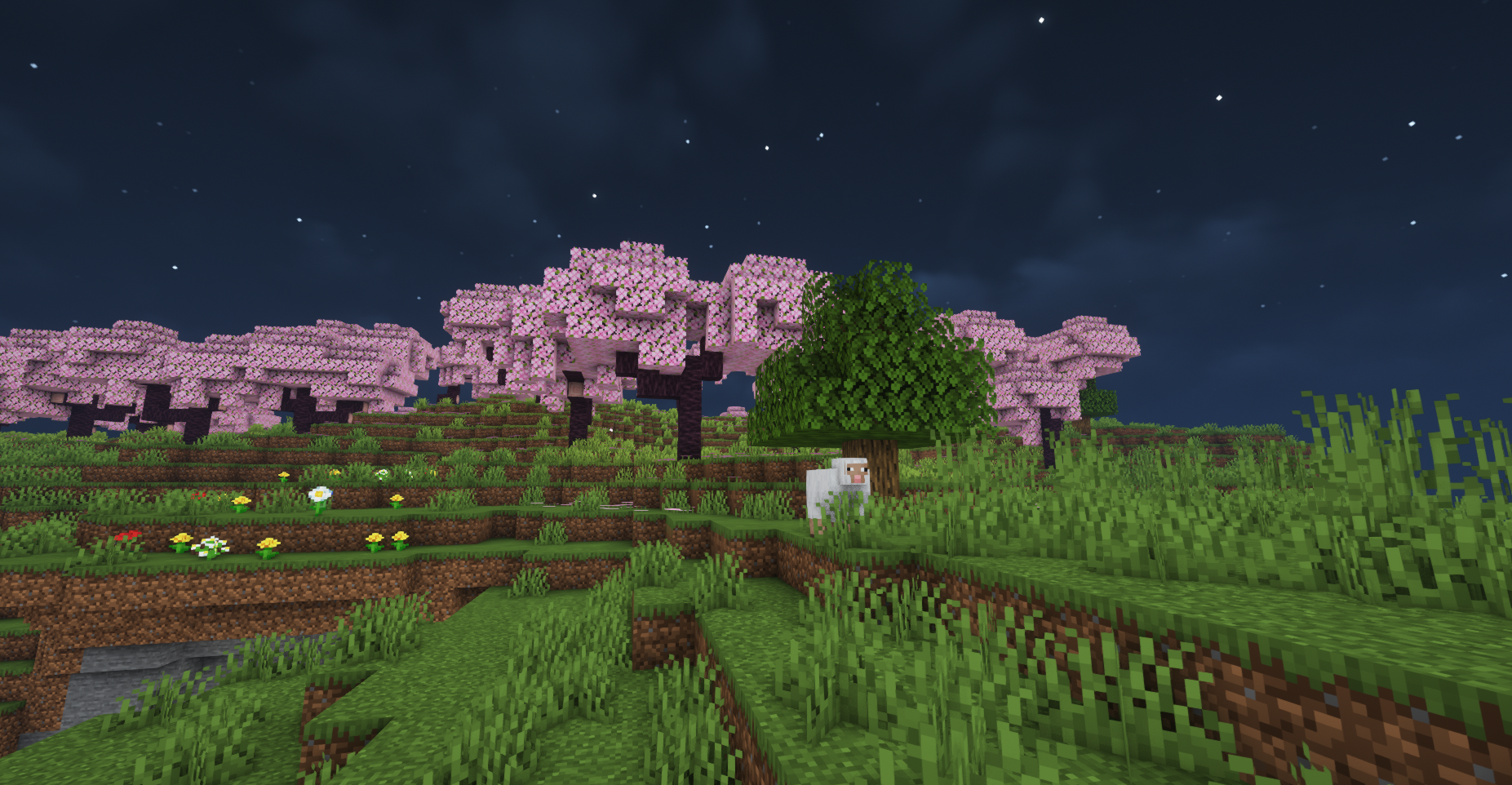Minecraft Koordinatları Minecraft Koordinatları