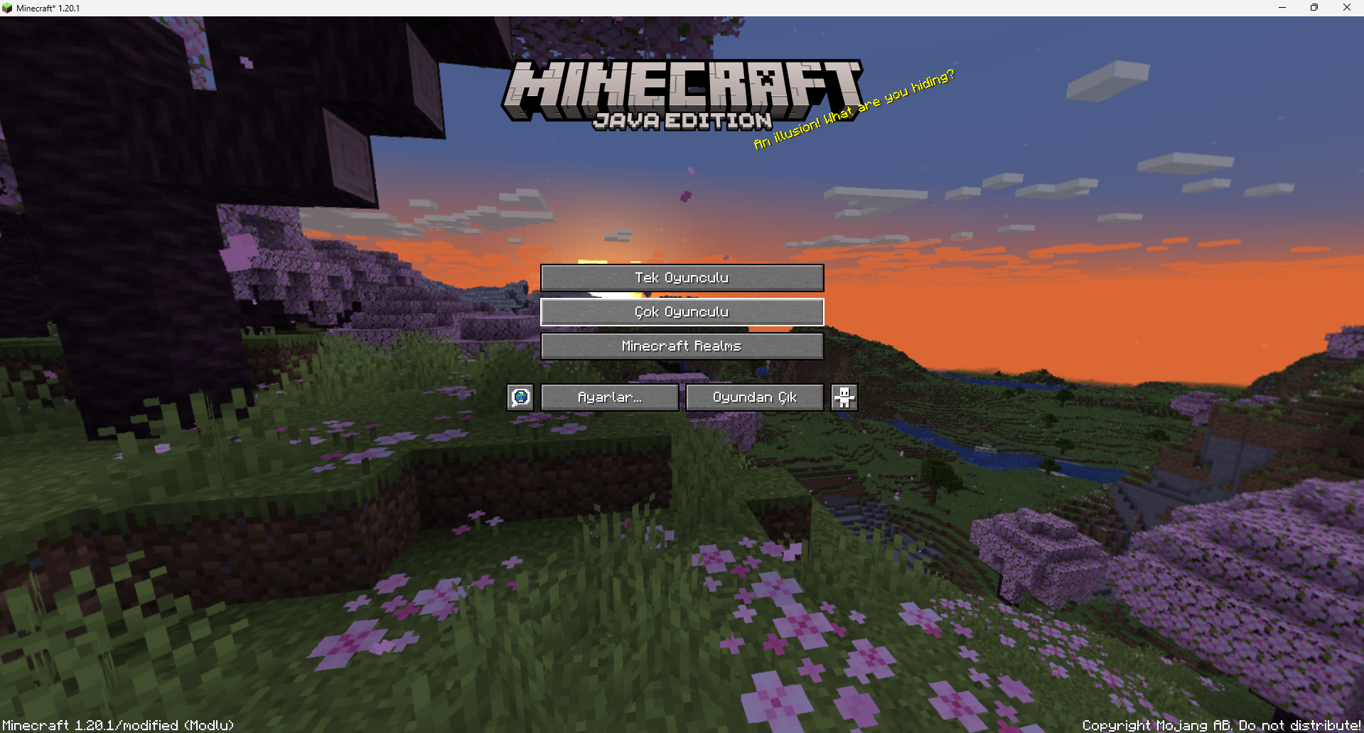 Minecraft Çok Oyunculu Nasıl Oynanır