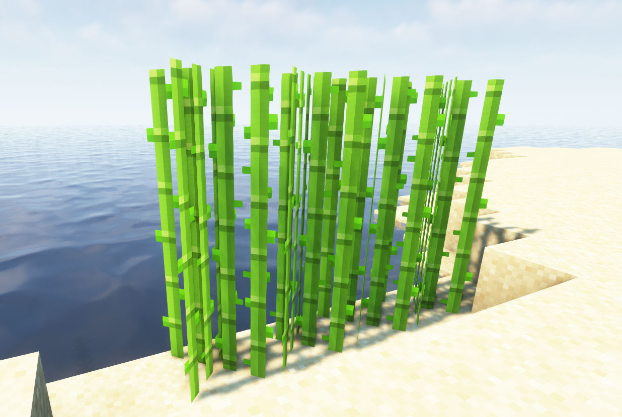 Minecraft Şeker kamışı nasıl ekilir?