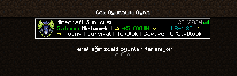 Minecraft Sunucu Girişi
