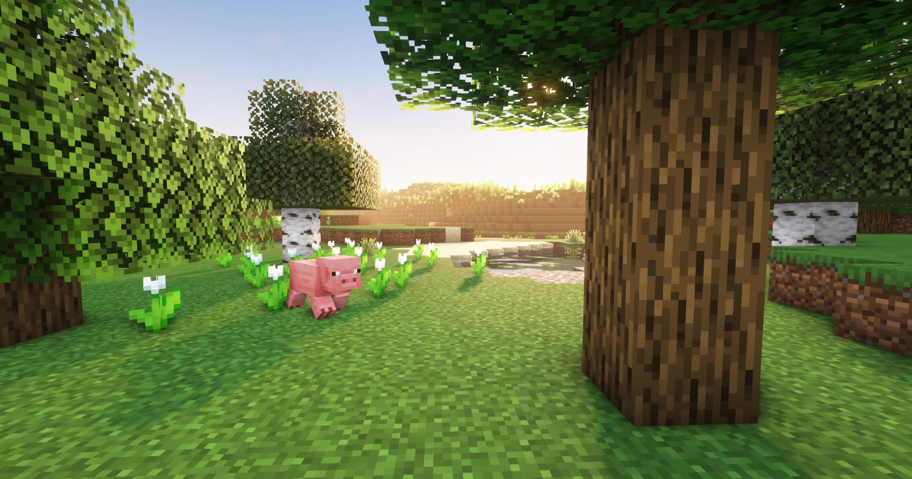 Minecraft 1.21 Update